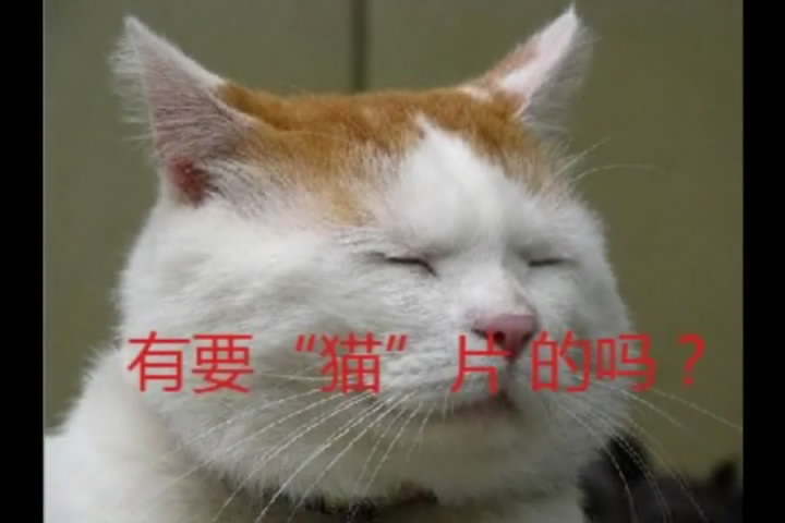 【2.5次元】扣扣群禁发和谐物[20100619-2325180].JPG