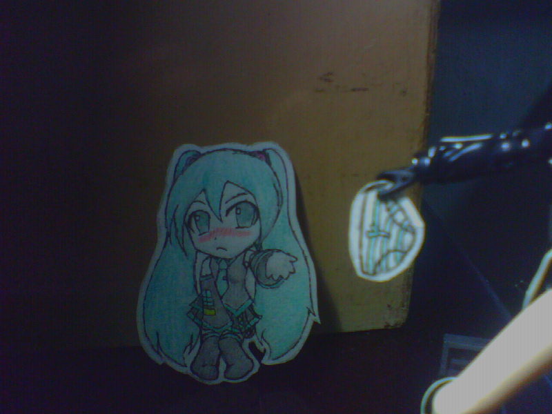 初音~~101.jpg