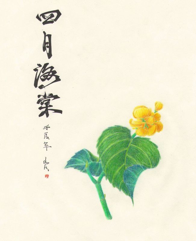 扫描10008.jpg