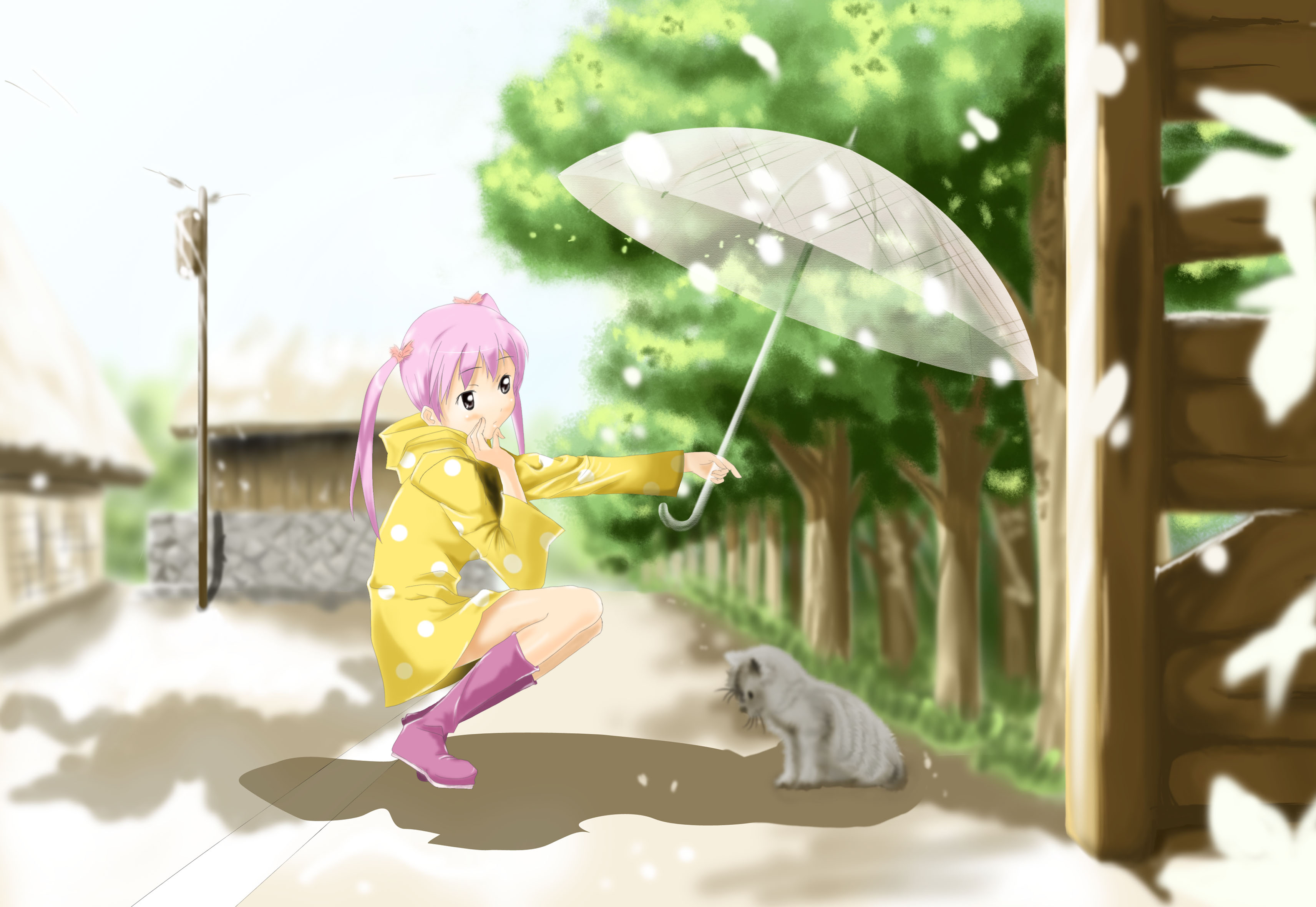 新建图像.jpg