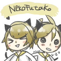 猫双子.jpg