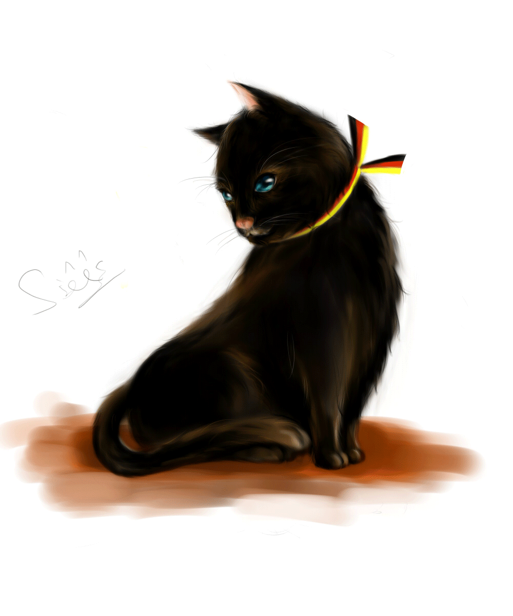 猫-改.gif