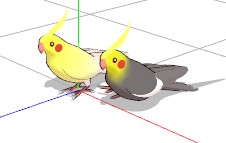 玄鳳鸚鵡-pmd.jpg