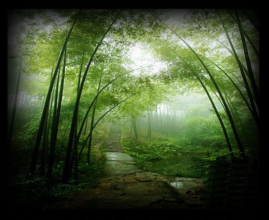 竹林聽雨軒.jpg