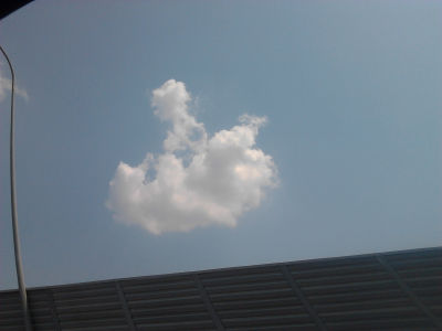 2012-07-15 10.55.19.jpg