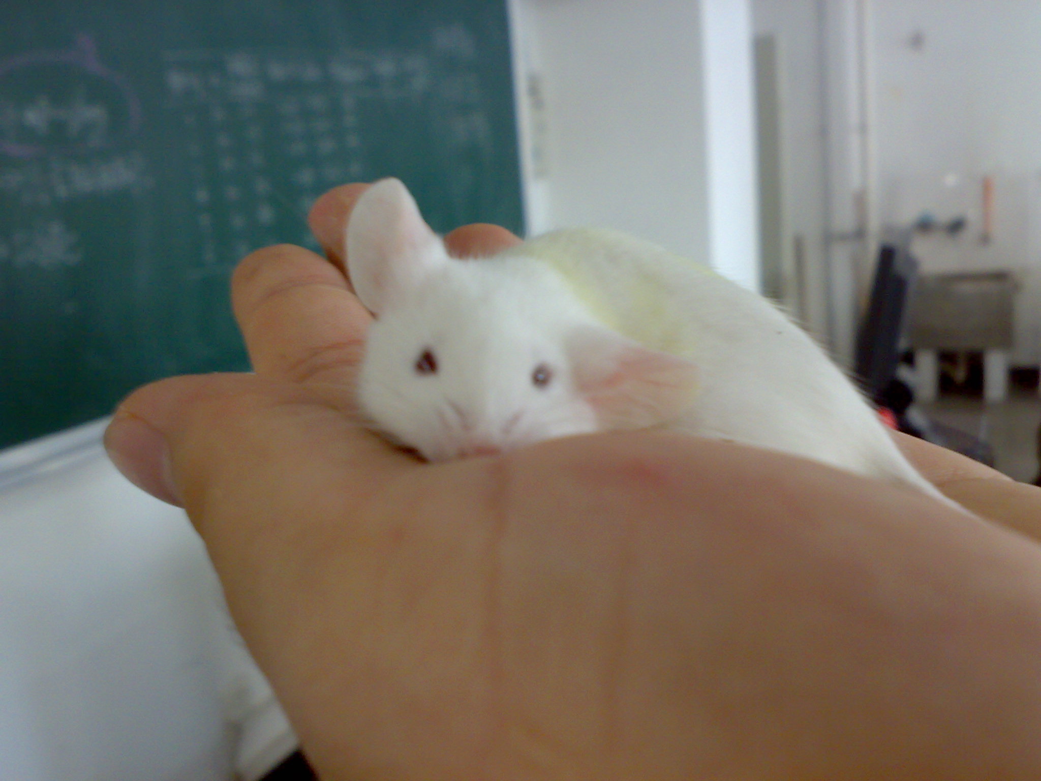 20101014631.jpg