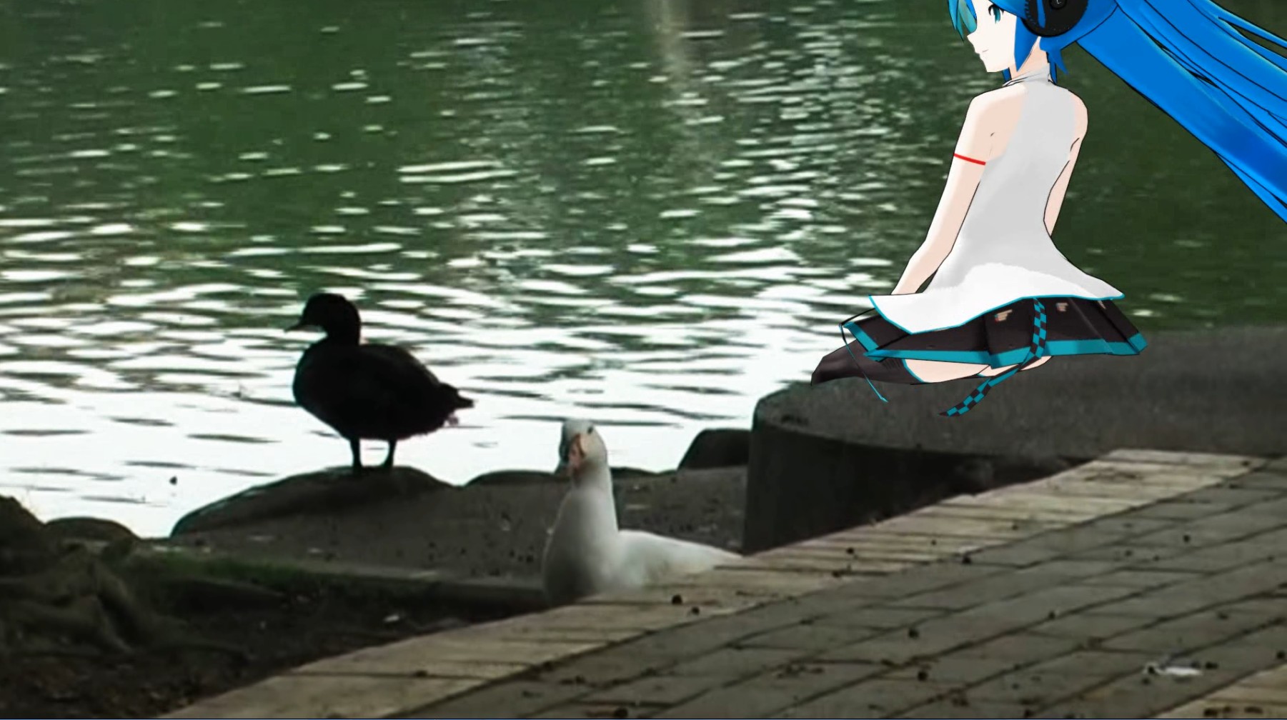 2011-05-25_121311.jpg
