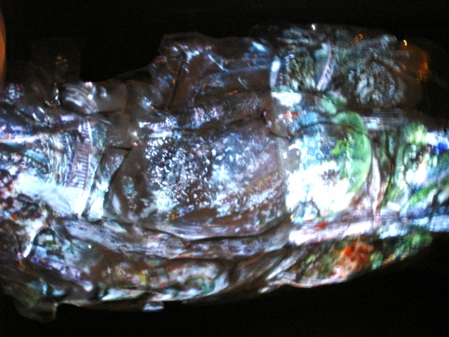 DSC02990.jpg