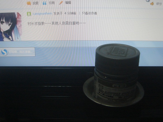 DSC04820.jpg