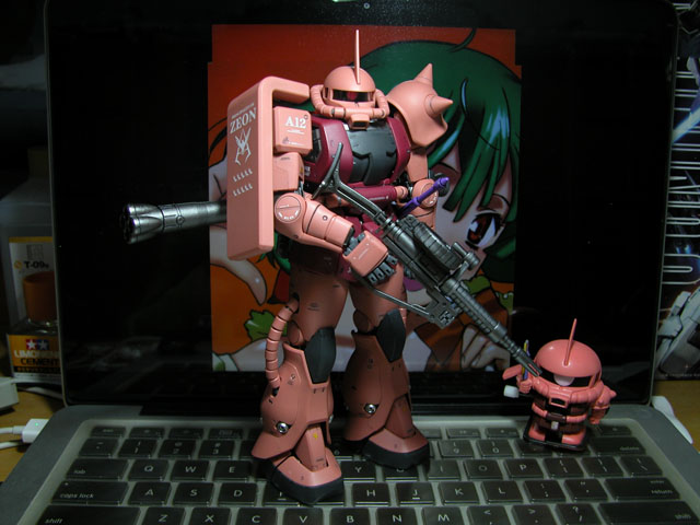 DSCN2489.jpg