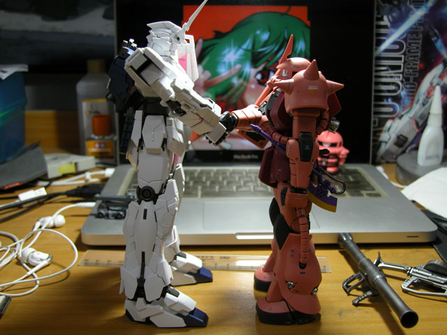 DSCN2491.jpg