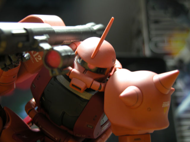 DSCN2498.jpg