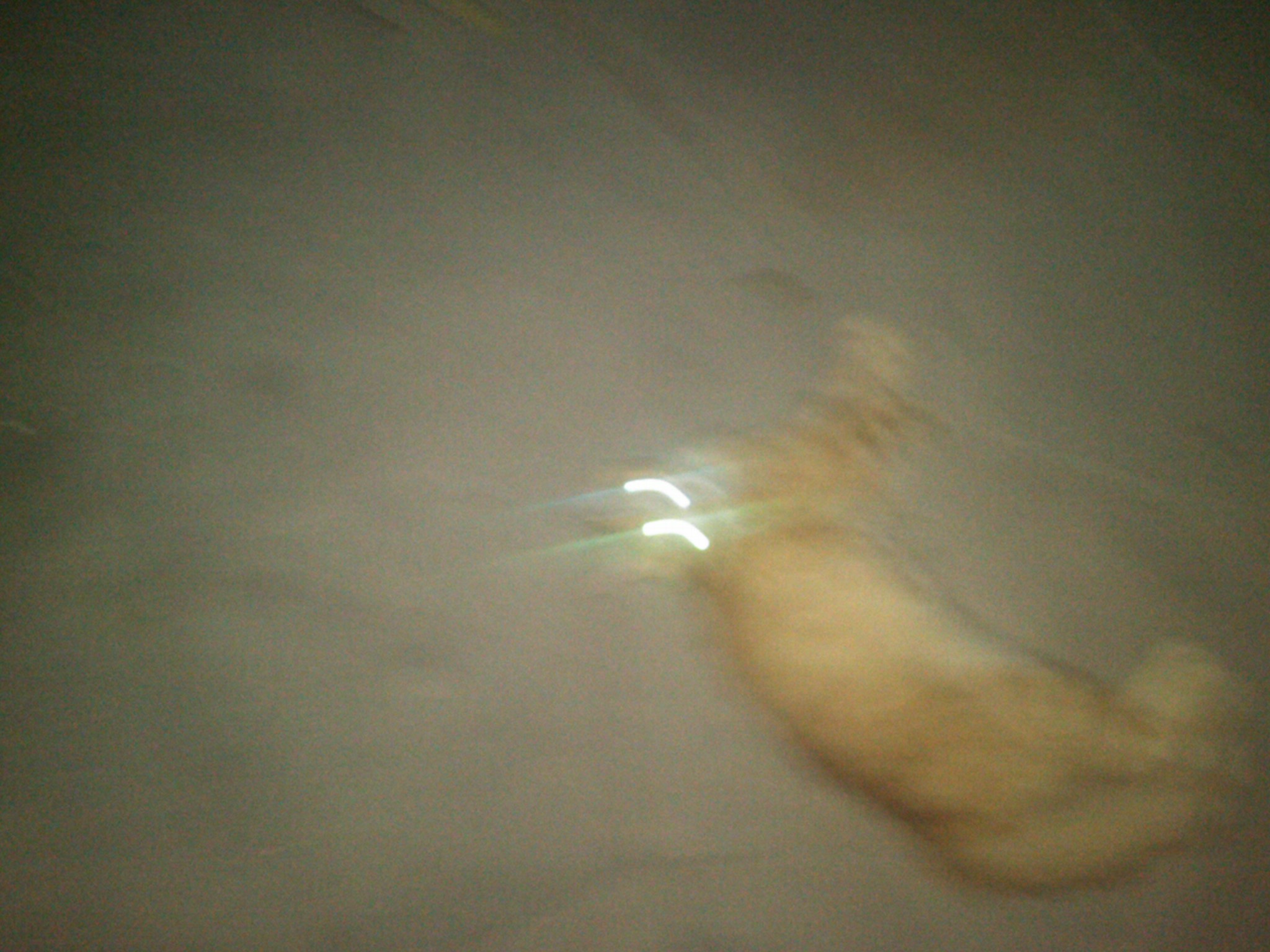 IMG00023-20110615-2312.jpg