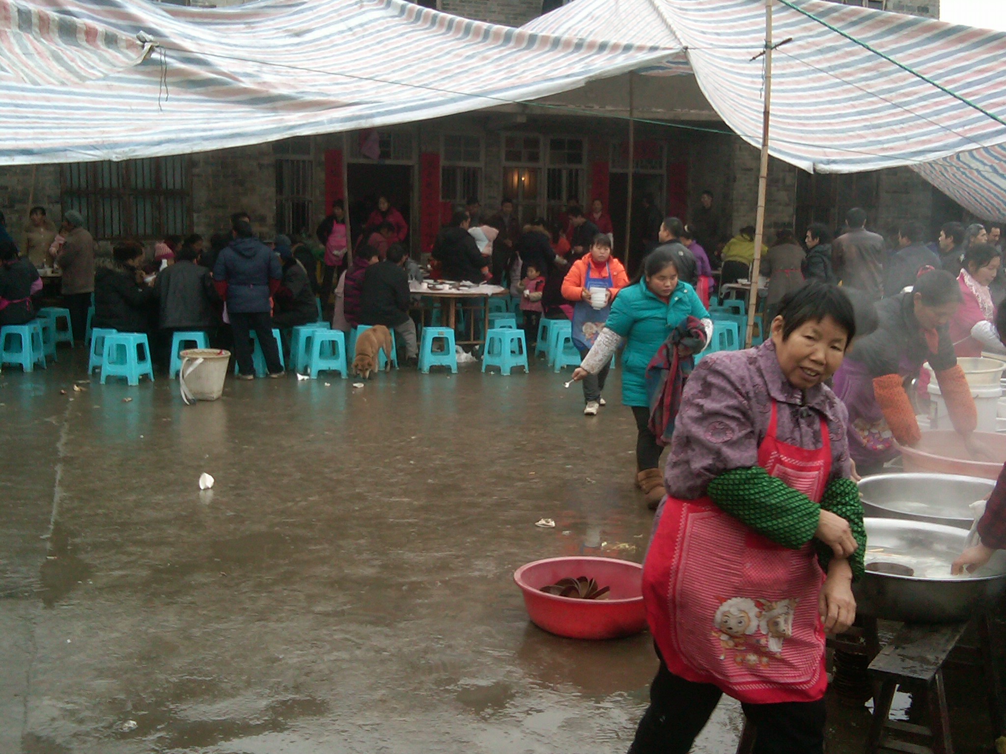 IMG00039-20120104-1219.jpg