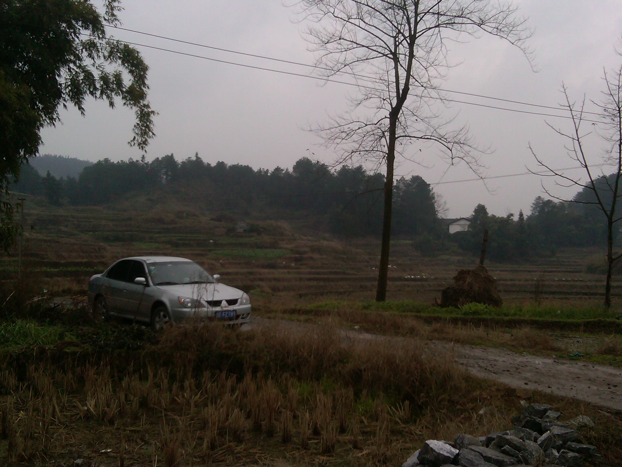 IMG00046-20120104-1252.jpg