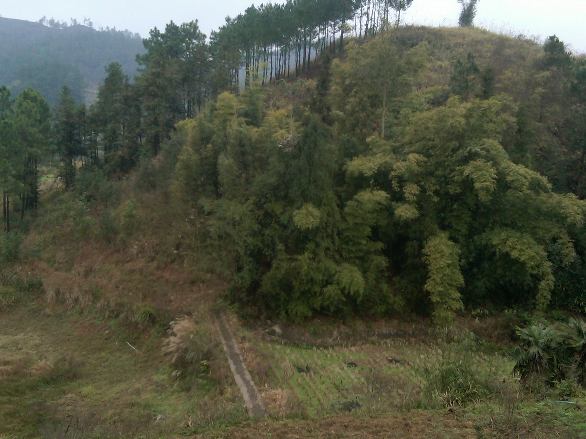 IMG00048-20120104-1309.jpg