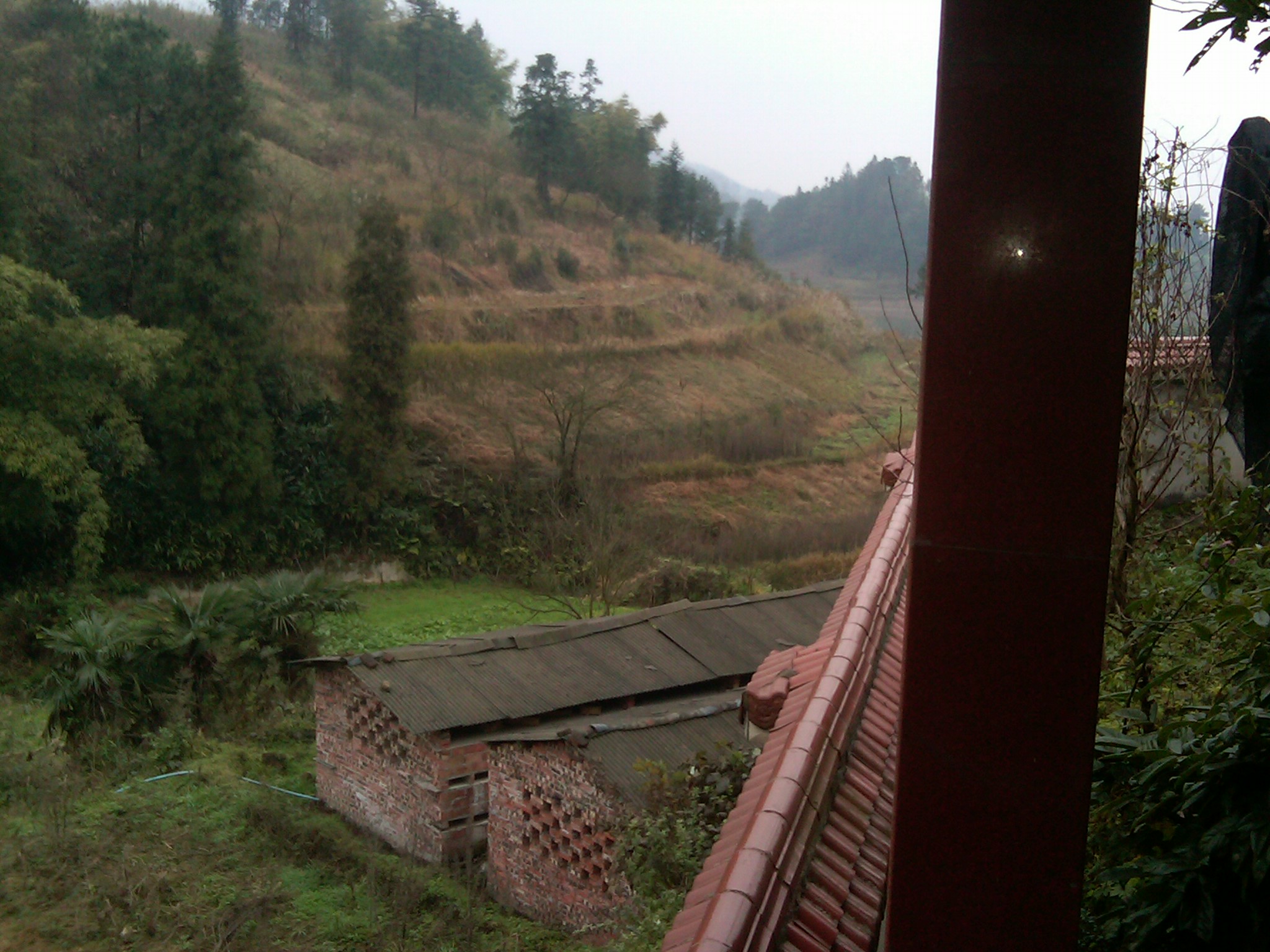 IMG00049-20120104-1309.jpg