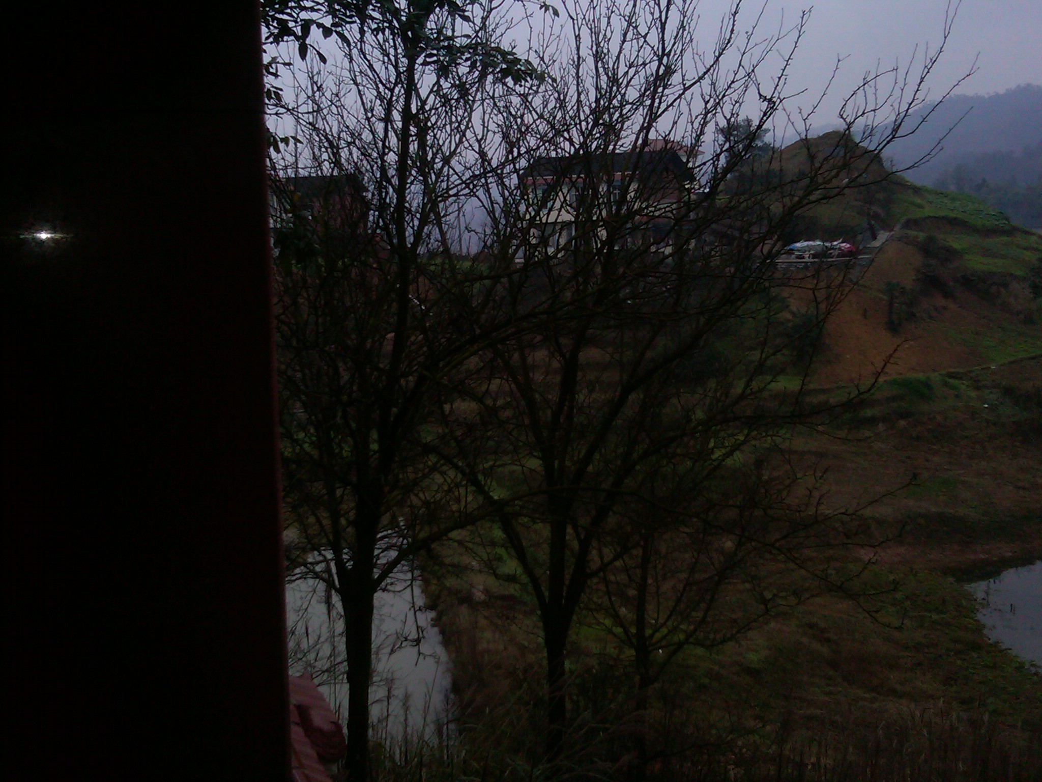 IMG00050-20120104-1309.jpg