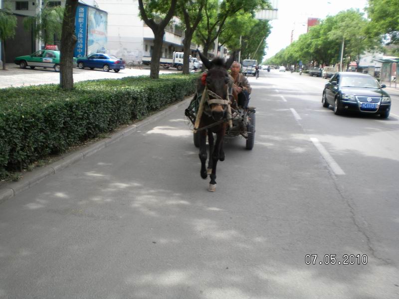 调整大小 SANY3125.JPG