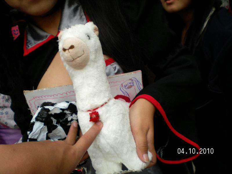 调整大小 SANY3800.JPG