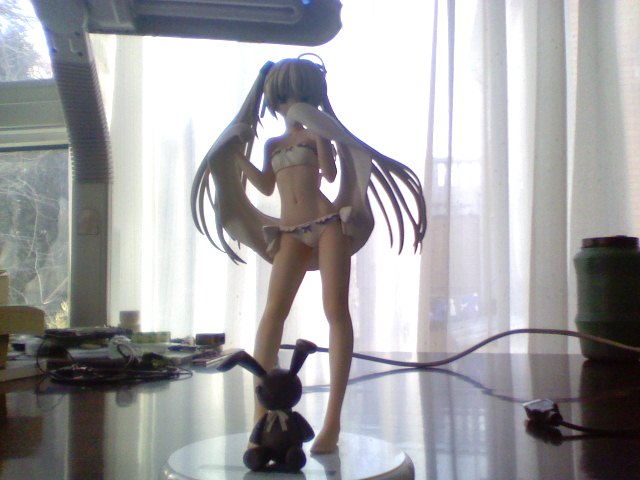 Snapshot_20111223.JPG