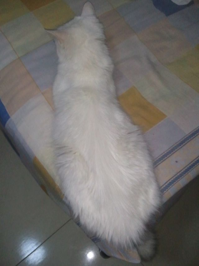 WP_000488.jpg