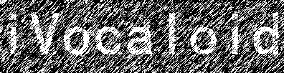 iv1.jpg