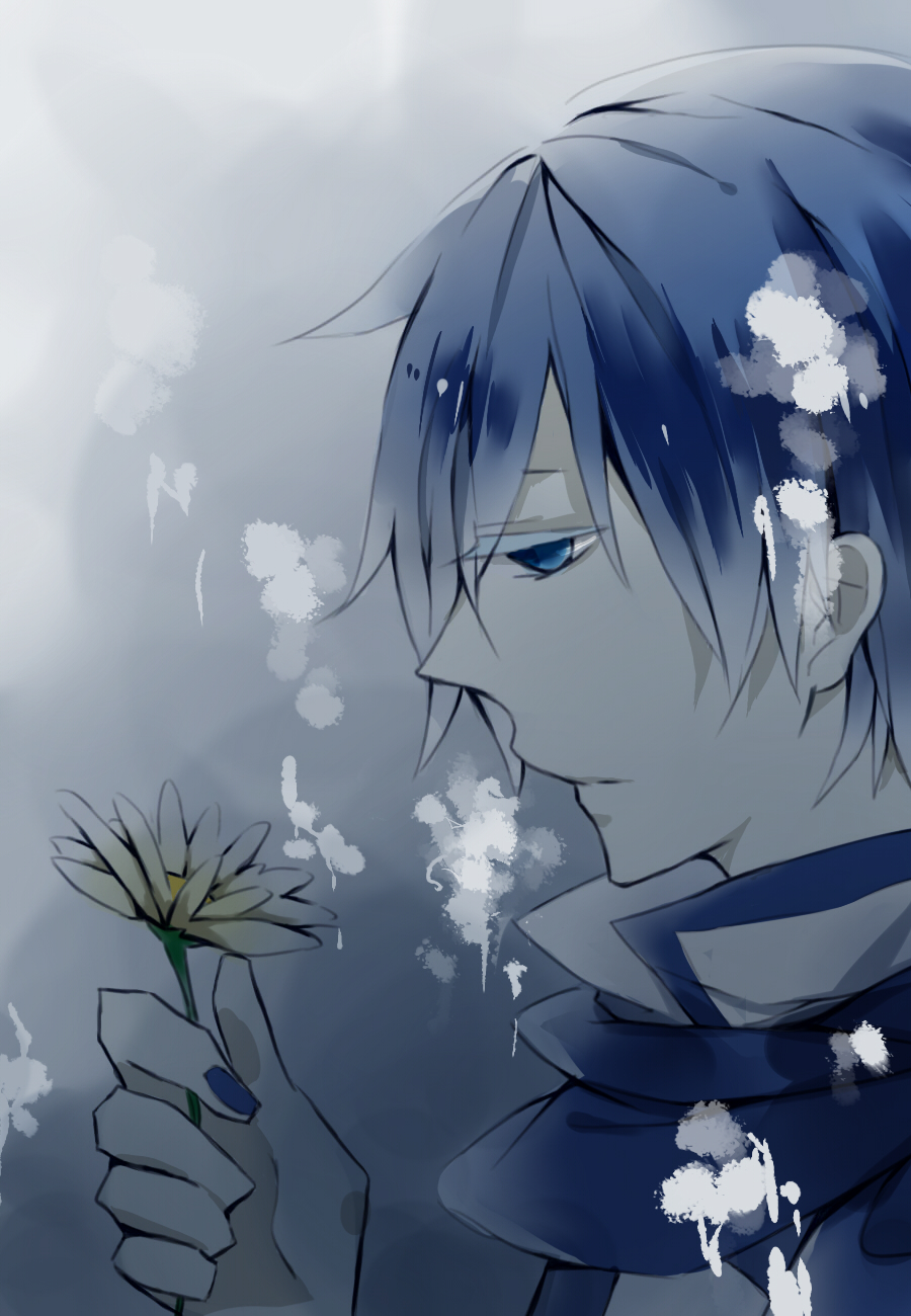 kaito1103.jpg