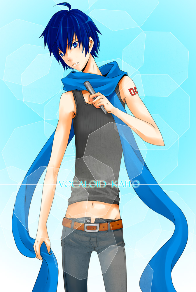 kaito1v2.jpg