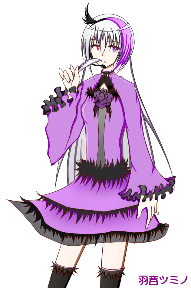 mitsumi2.jpg