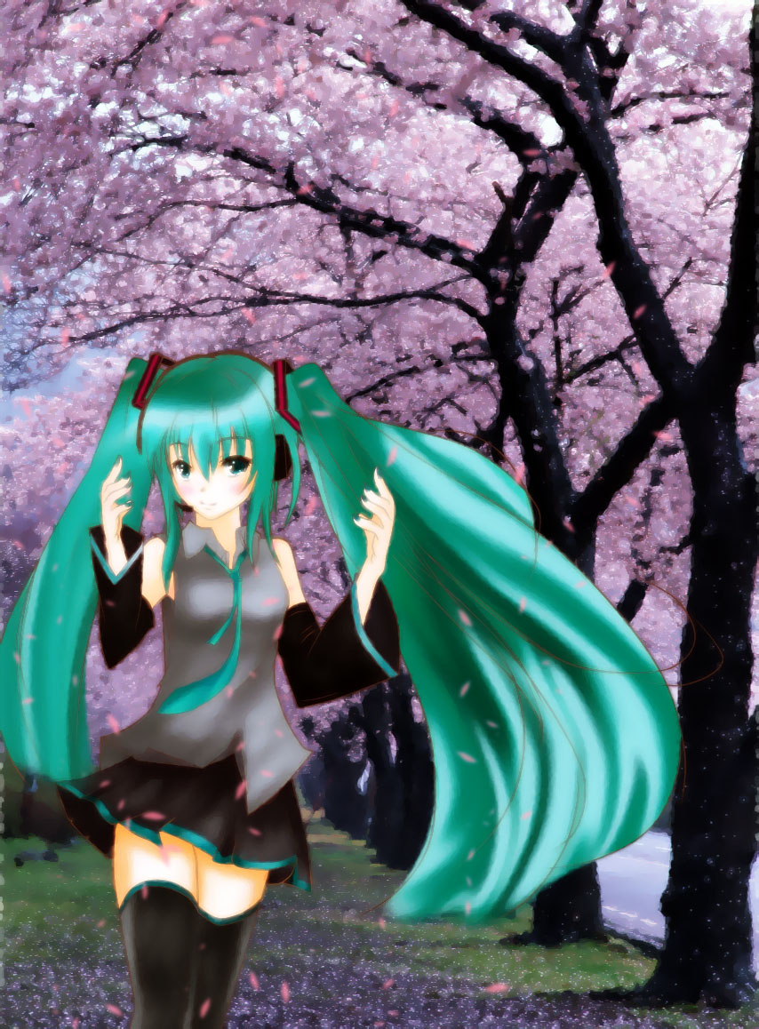 sakuramiku.jpg